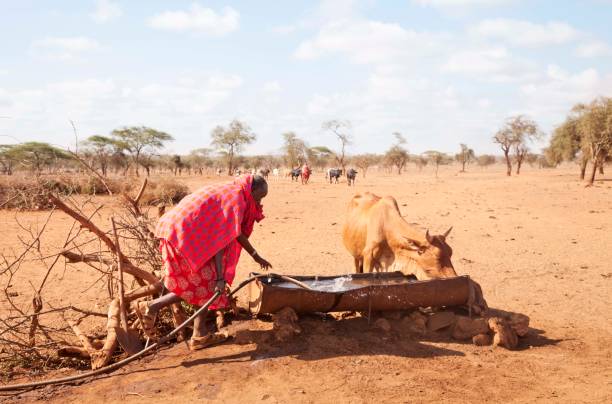 수소 기술이 아프리카에서 확산되지 못하는 이유